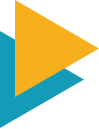 vector